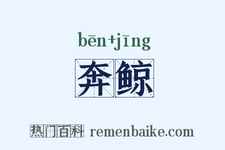 奔鲸是什么意思的图片